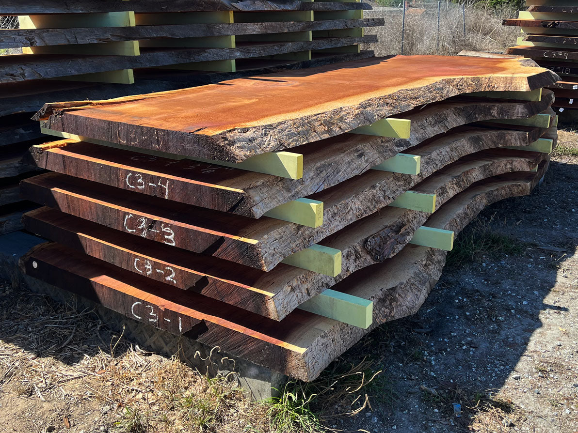 Giant Sequoia Live Edge Slab – 13.08' x 72" x 3.5" – Old Growth, Air-Dried – #C3-1