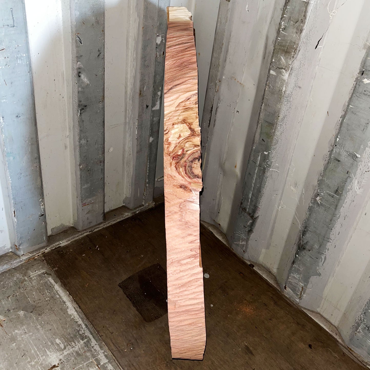 Giant Sequoia Live Edge Cookie / Round – 42" x 36" x 2.5" – Old Growth, Air-Dried – #GSC-1