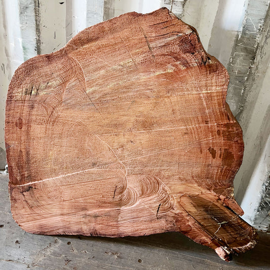 Giant Sequoia Live Edge Cookie / Round – 36" x 32" x 2.75" – Old Growth, Air-Dried – #GSC-2