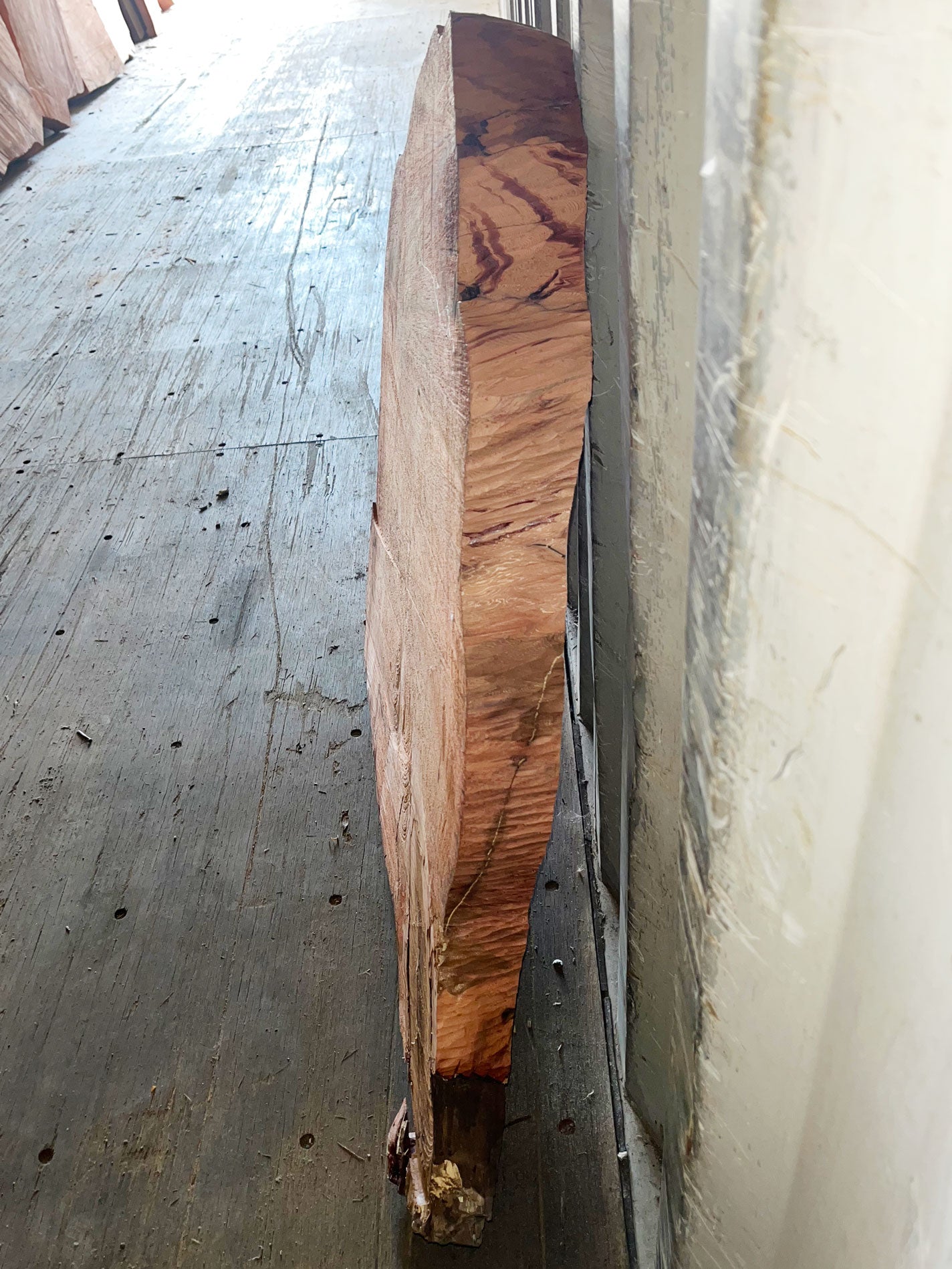 Giant Sequoia Live Edge Cookie / Round – 36" x 32" x 2.75" – Old Growth, Air-Dried – #GSC-2