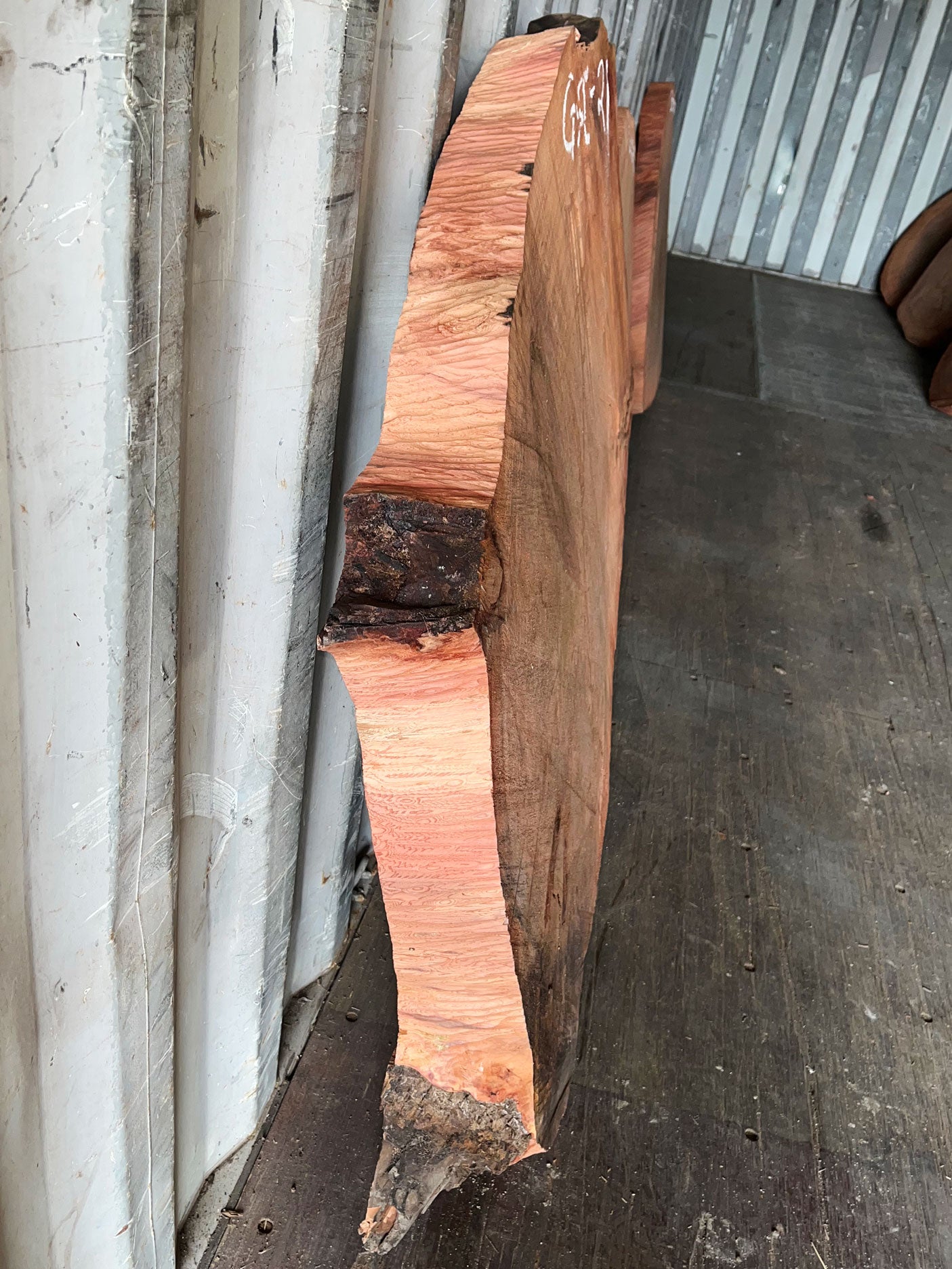 Giant Sequoia Live Edge Cookie / Round – 45" x 43" x 3.5" – Old Growth, Air-Dried – #GSC-21