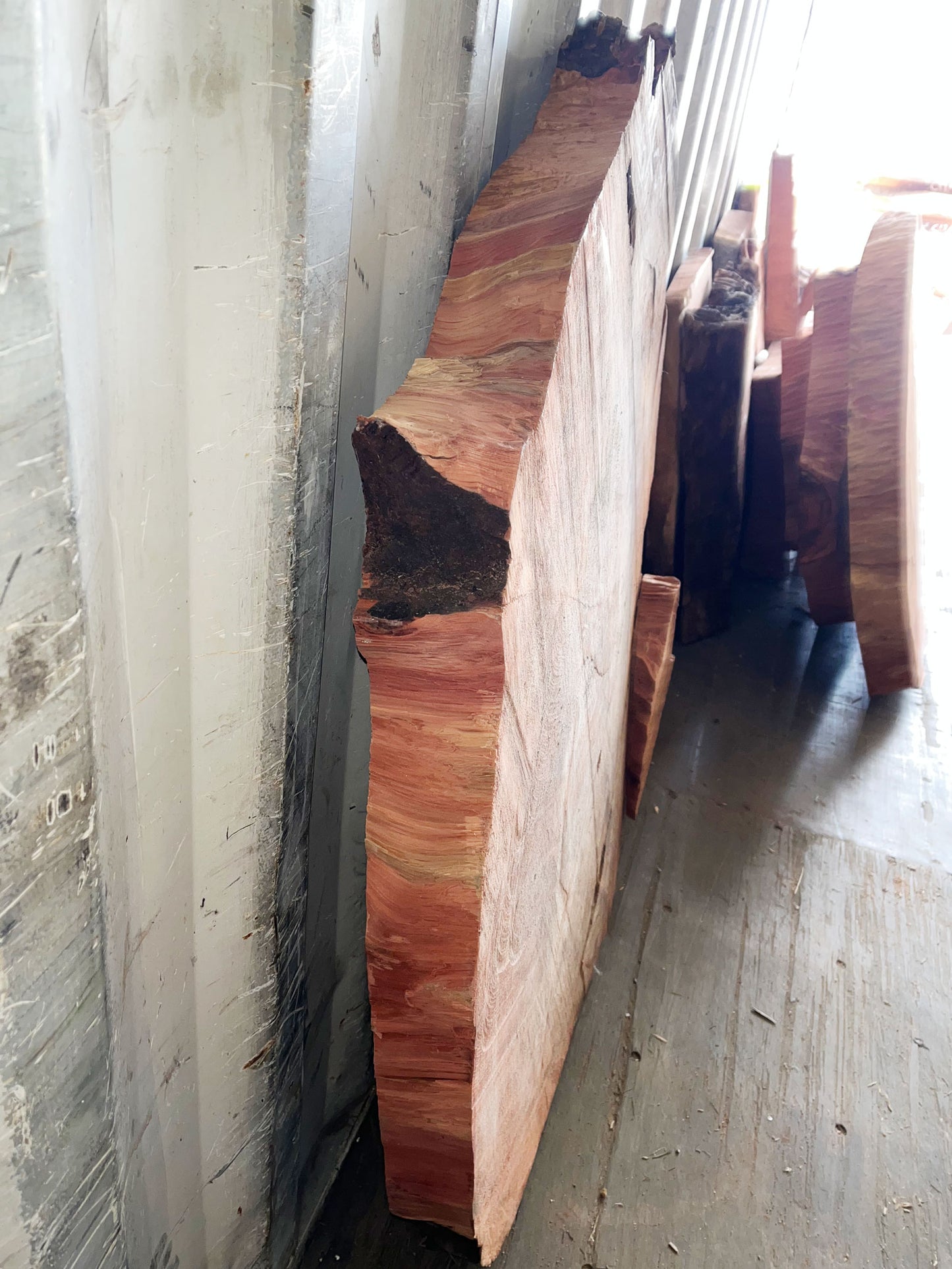 Giant Sequoia Live Edge Cookie / Round – 45" x 39" x 1.75" – Old Growth, Air-Dried – #GSC-27