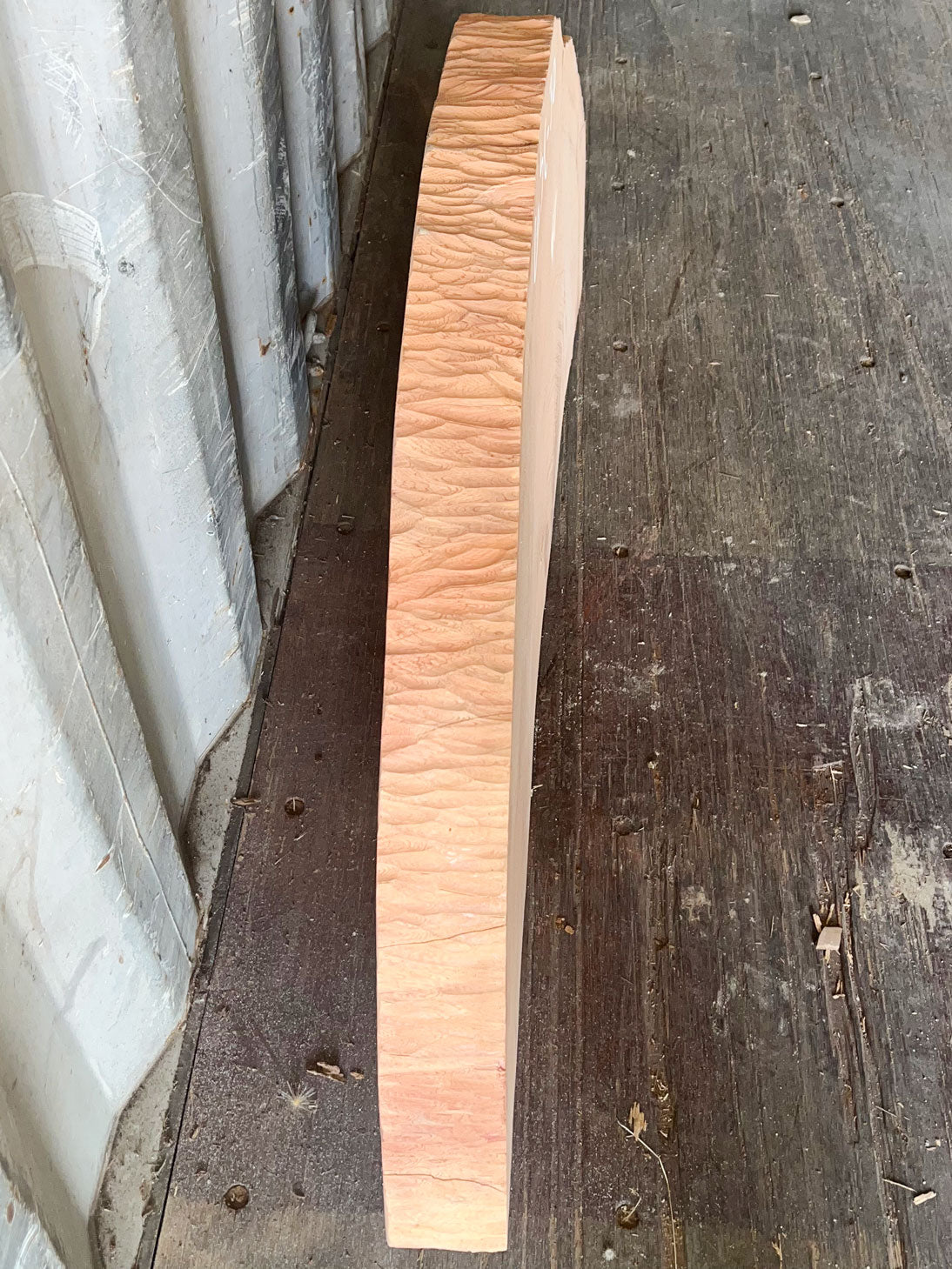 Giant Sequoia Live Edge Cookie / Round – 41" x 4.8" x 2.75" – Old Growth, Air-Dried – #GSC-30