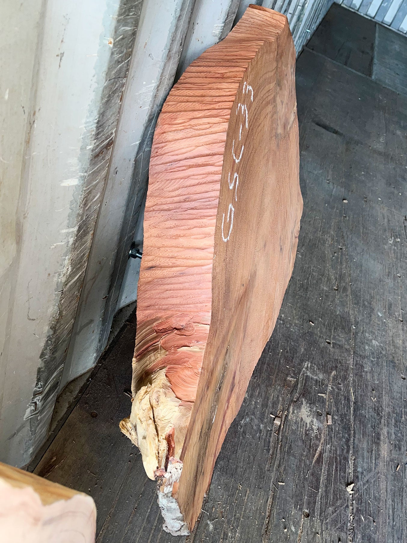 Giant Sequoia Live Edge Cookie / Round – 33" x 28" x 3" – Old Growth, Air-Dried – #GSC-33