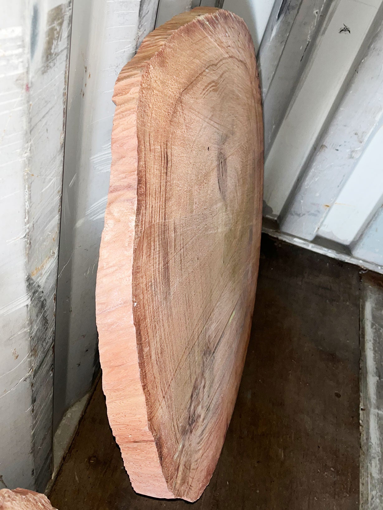 Giant Sequoia Live Edge Cookie / Round – 38" x 33" x 1" – Old Growth, Air-Dried – #GSC-5