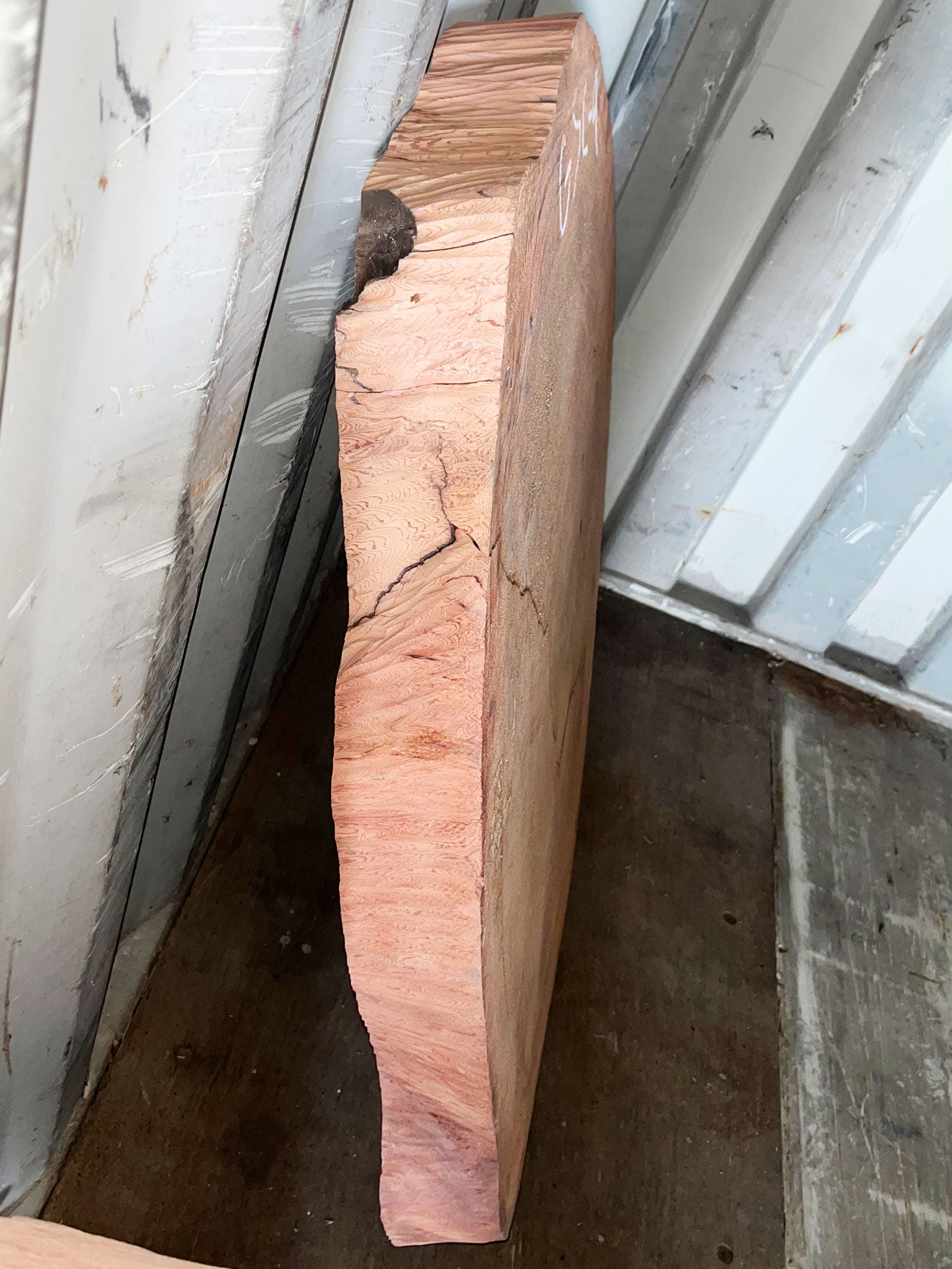 Giant Sequoia Live Edge Cookie / Round – 35" x 34" x 3" – Old Growth, Air-Dried – #GSC-9