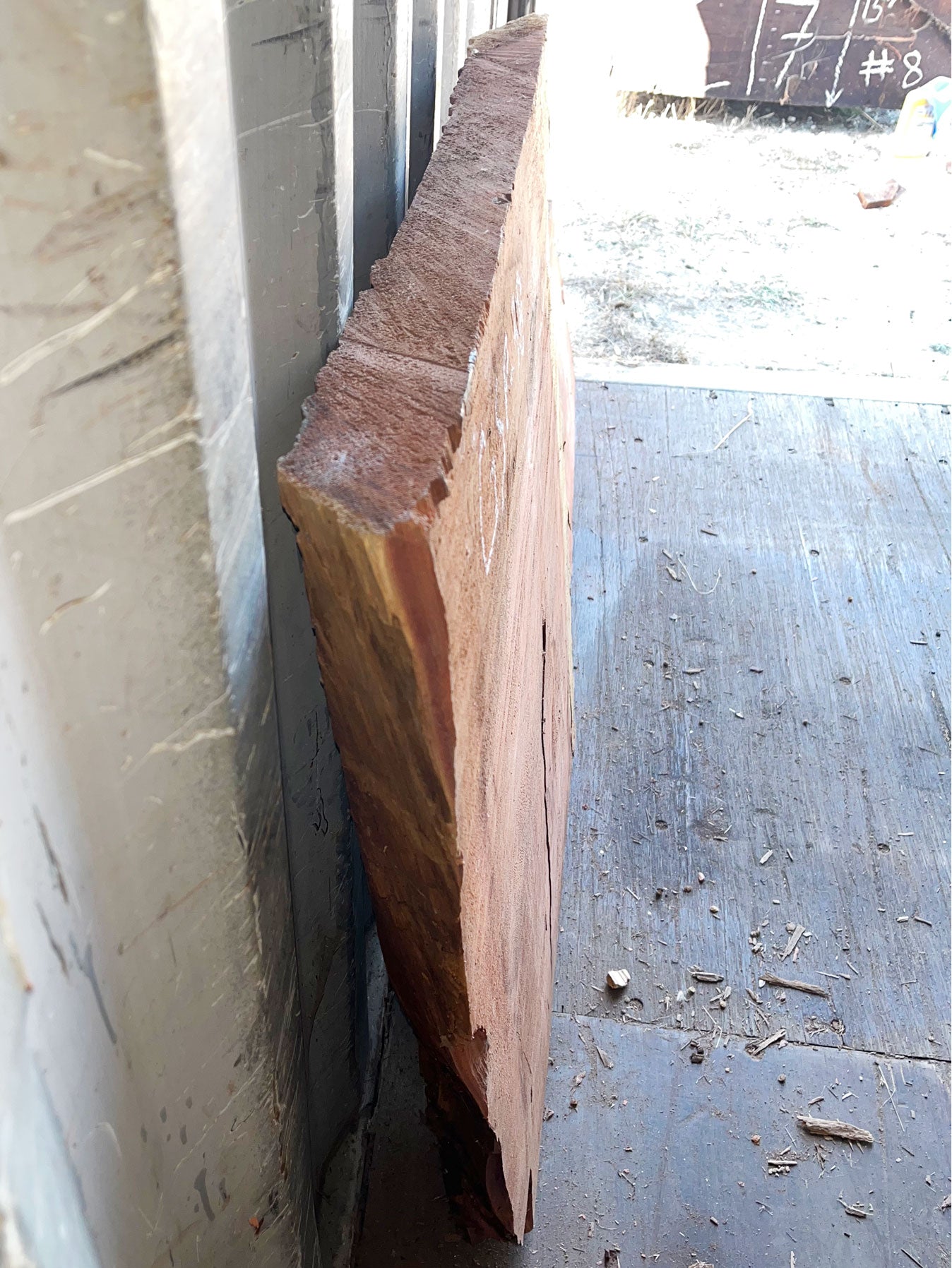 Giant Sequoia Live Edge Piece – 34" x 26.5" x 2.75" – Old Growth, Air-Dried – #GSP-38