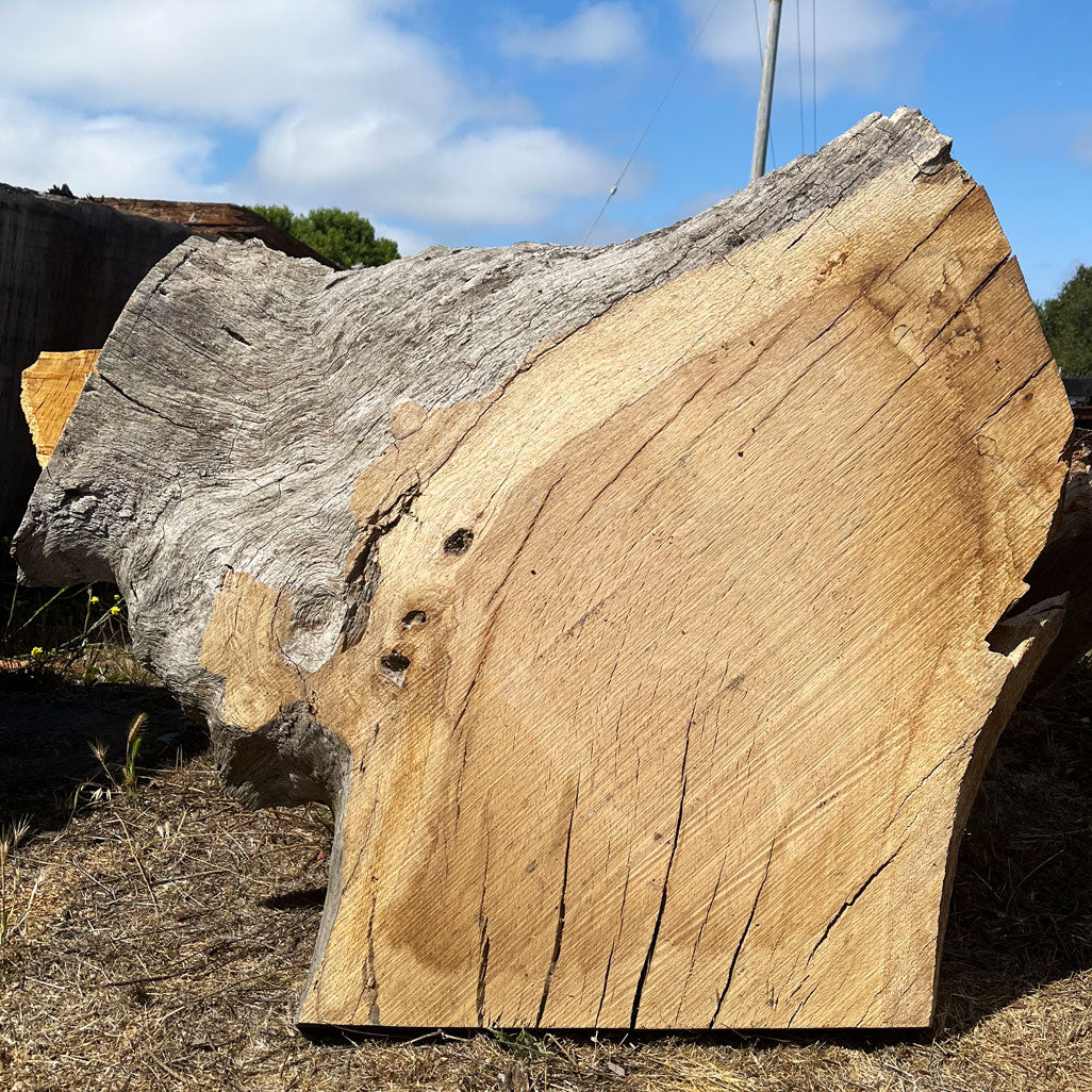 Heritage Valley Oak Live Edge Cookie / Round – 40" x 18" x 2.5" – Old Growth, Air-Dried – #VOP-3