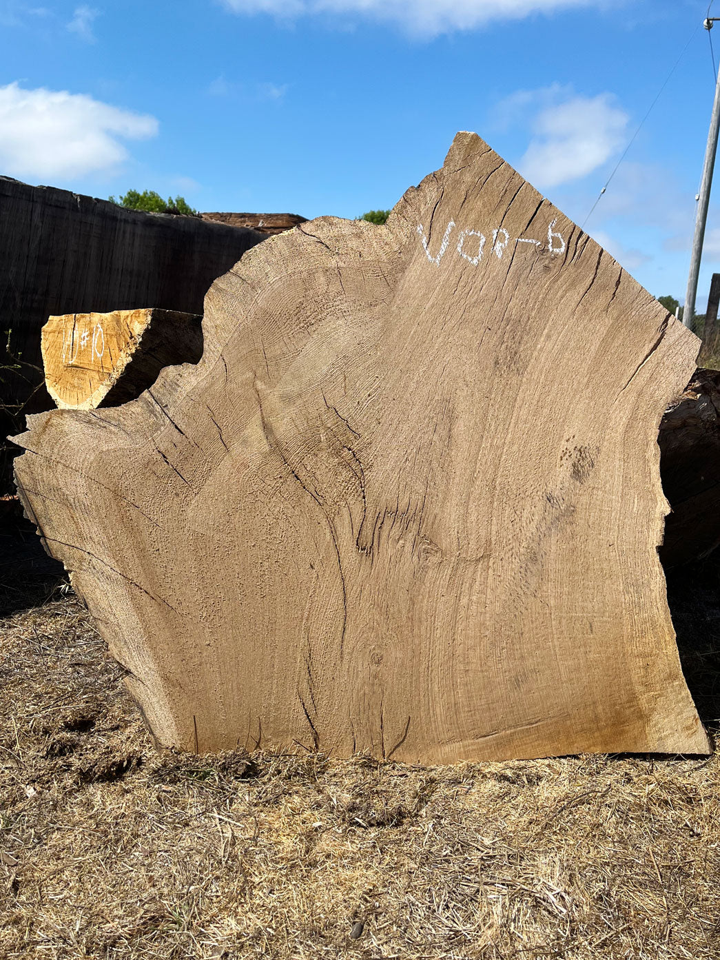 Heritage Valley Oak Live Edge Cookie / Round – 33" x 27" x 2.25" – Old Growth, Air-Dried – #VOP-6