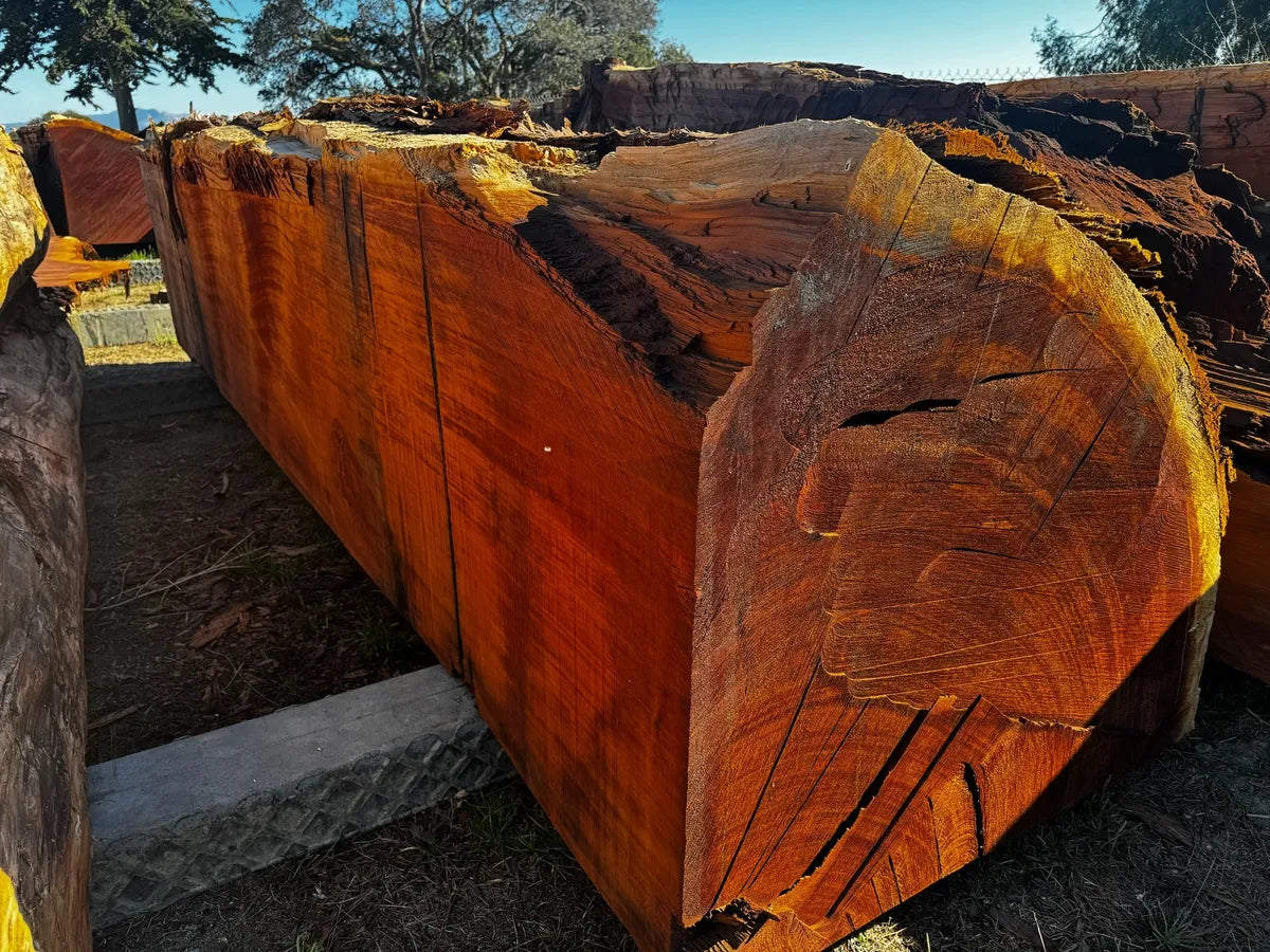 Old Growth Sequoia Cant - Air-Dried, Milled or Raw