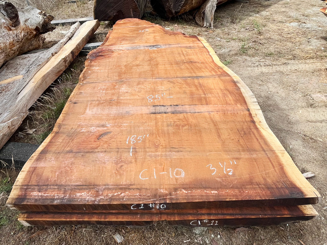 Giant Sequoia Live Edge Slab – 15.42' x 86" x 3.5" – Old Growth, Air-Dried – #C1-10