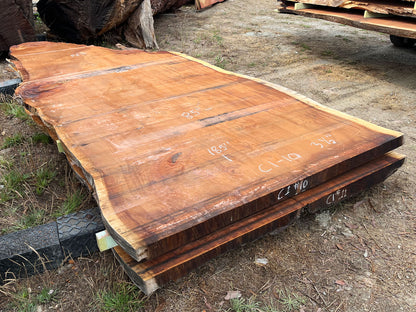 Giant Sequoia Live Edge Slab – 15.42' x 86" x 3.5" – Old Growth, Air-Dried – #C1-10