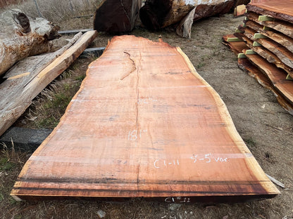 Giant Sequoia Live Edge Slab – 15.08' x 86" x 5" – Old Growth, Air-Dried – #C1-11