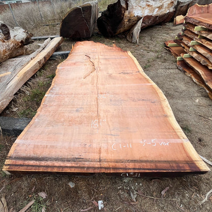 Giant Sequoia Live Edge Slab – 15.08' x 86" x 5" – Old Growth, Air-Dried – #C1-11