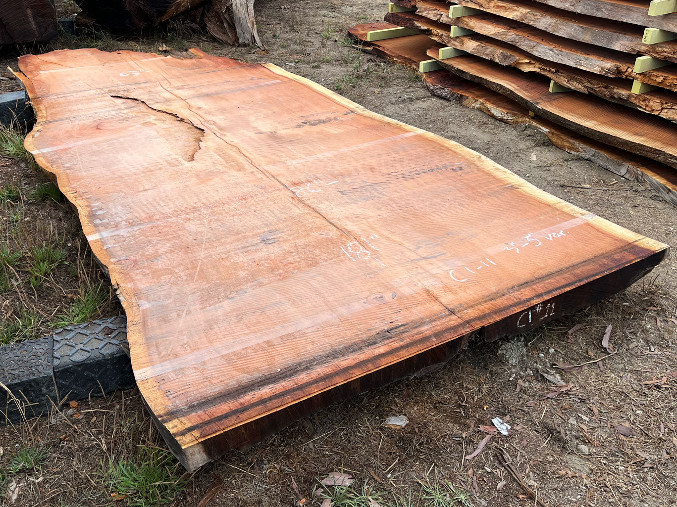 Giant Sequoia Live Edge Slab – 15.08' x 86" x 5" – Old Growth, Air-Dried – #C1-11