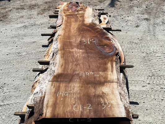 Giant Sequoia Live Edge Slab – 11.67' x 51" x 3.5" – Old Growth, Air-Dried – #C1-2