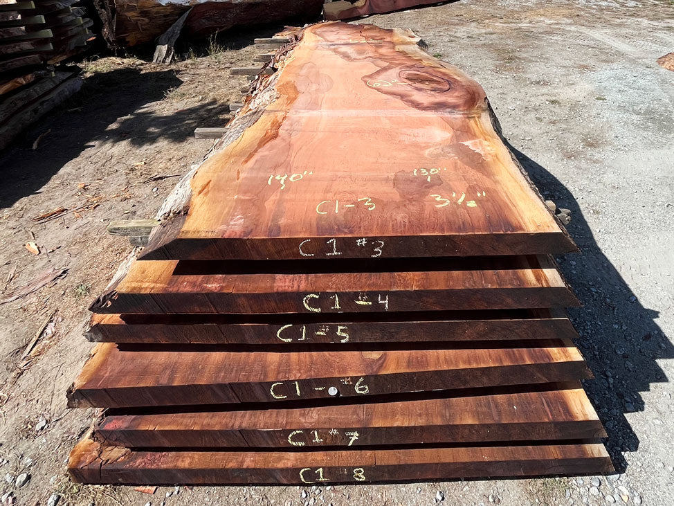 Giant Sequoia Live Edge Slab – 11.67' x 62" x 3.5" – Old Growth, Air-Dried – #C1-3