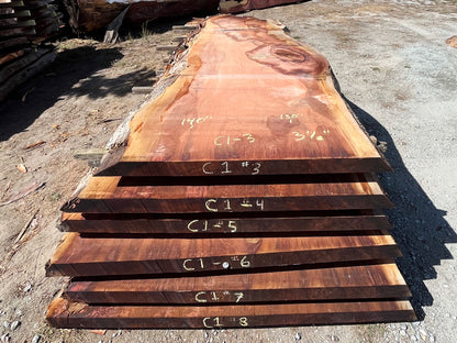 Giant Sequoia Live Edge Slab – 11.67' x 62" x 3.5" – Old Growth, Air-Dried – #C1-3
