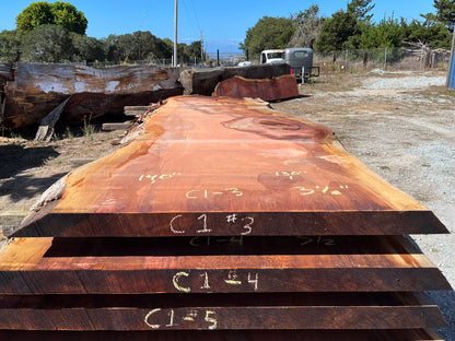 Giant Sequoia Live Edge Slab – 11.67' x 62" x 3.5" – Old Growth, Air-Dried – #C1-3