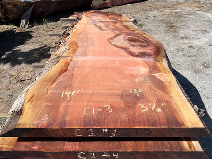 Giant Sequoia Live Edge Slab – 11.67' x 62" x 3.5" – Old Growth, Air-Dried – #C1-3