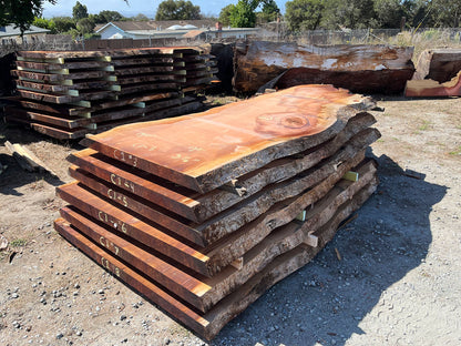 Giant Sequoia Live Edge Slab – 11.67' x 62" x 3.5" – Old Growth, Air-Dried – #C1-3