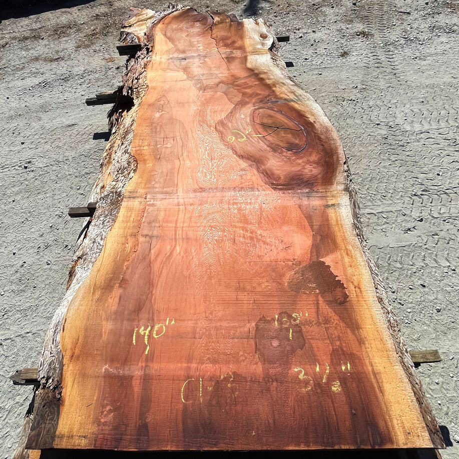 Giant Sequoia Live Edge Slab – 11.67' x 62" x 3.5" – Old Growth, Air-Dried – #C1-3