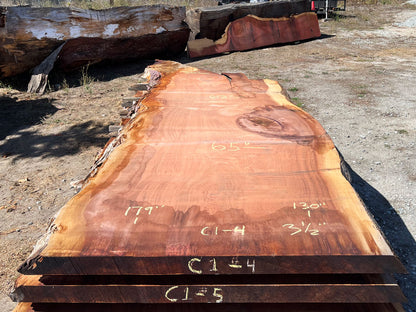 Giant Sequoia Live Edge Slab – 14.92' x 65" x 3.5" – Old Growth, Air-Dried – #C1-4