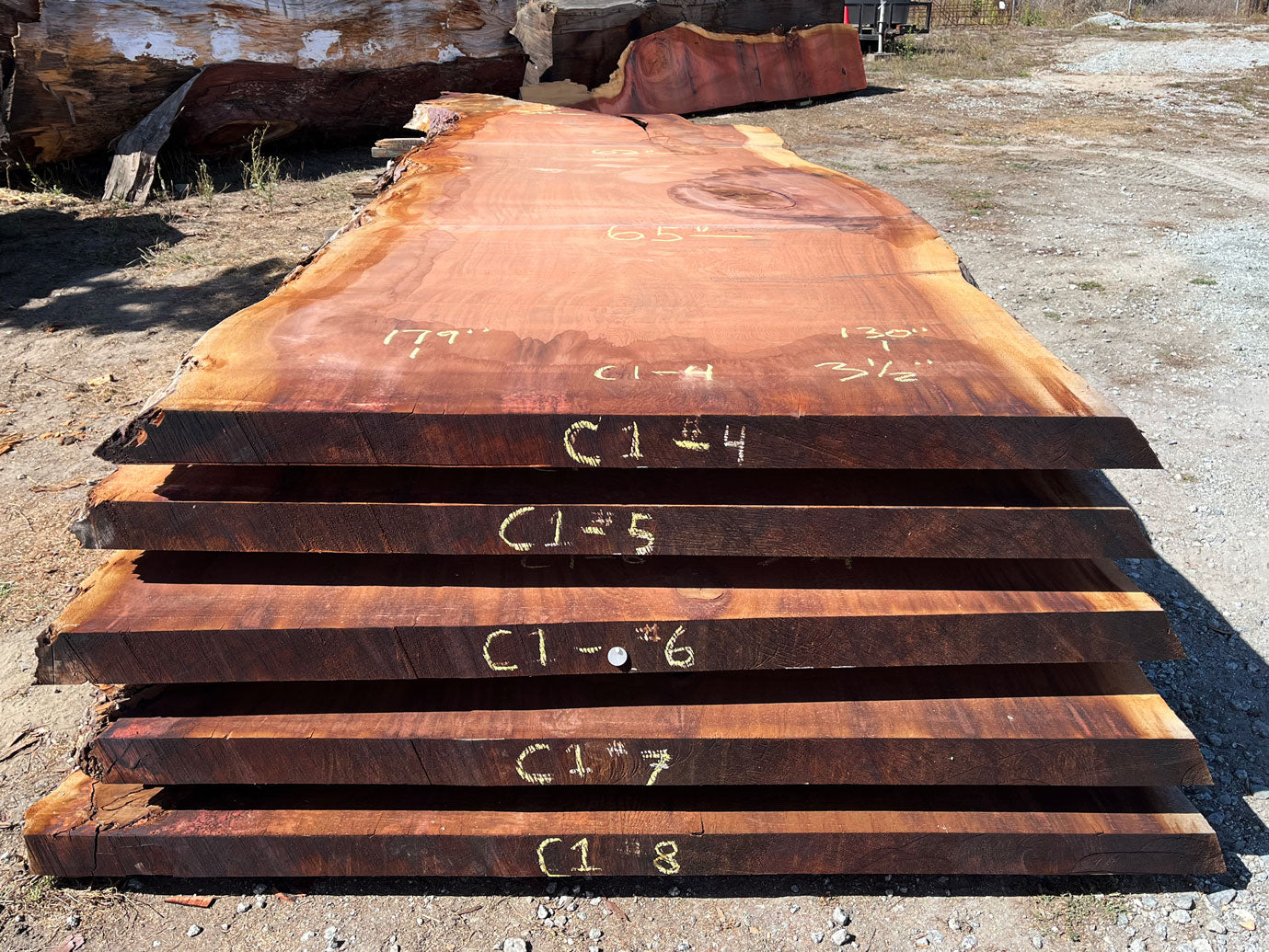 Giant Sequoia Live Edge Slab – 14.92' x 65" x 3.5" – Old Growth, Air-Dried – #C1-4