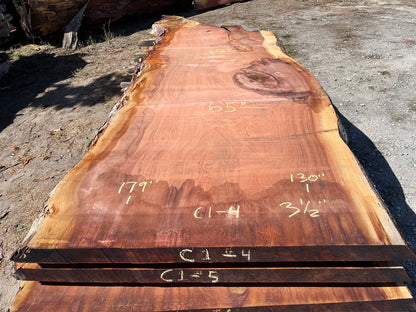 Giant Sequoia Live Edge Slab – 14.92' x 65" x 3.5" – Old Growth, Air-Dried – #C1-4
