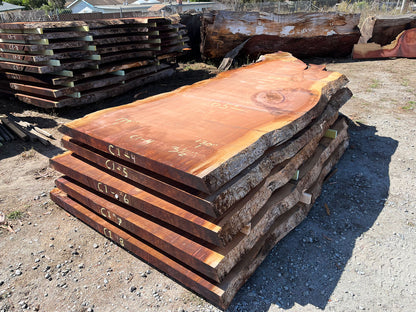 Giant Sequoia Live Edge Slab – 14.92' x 65" x 3.5" – Old Growth, Air-Dried – #C1-4