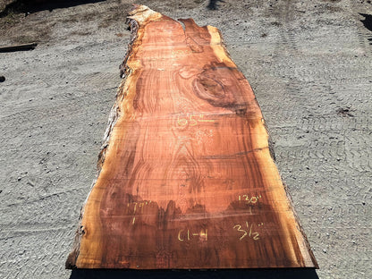 Giant Sequoia Live Edge Slab – 14.92' x 65" x 3.5" – Old Growth, Air-Dried – #C1-4