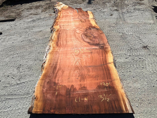 Giant Sequoia Live Edge Slab – 14.92' x 65" x 3.5" – Old Growth, Air-Dried – #C1-4