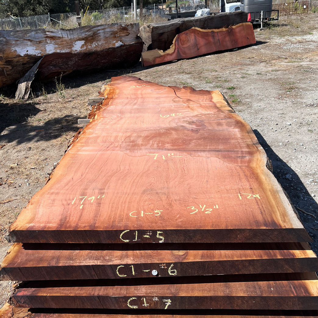 Giant Sequoia Live Edge Slab – 15.08' x 71" x 3.5" – Old Growth, Air-Dried – #C1-5