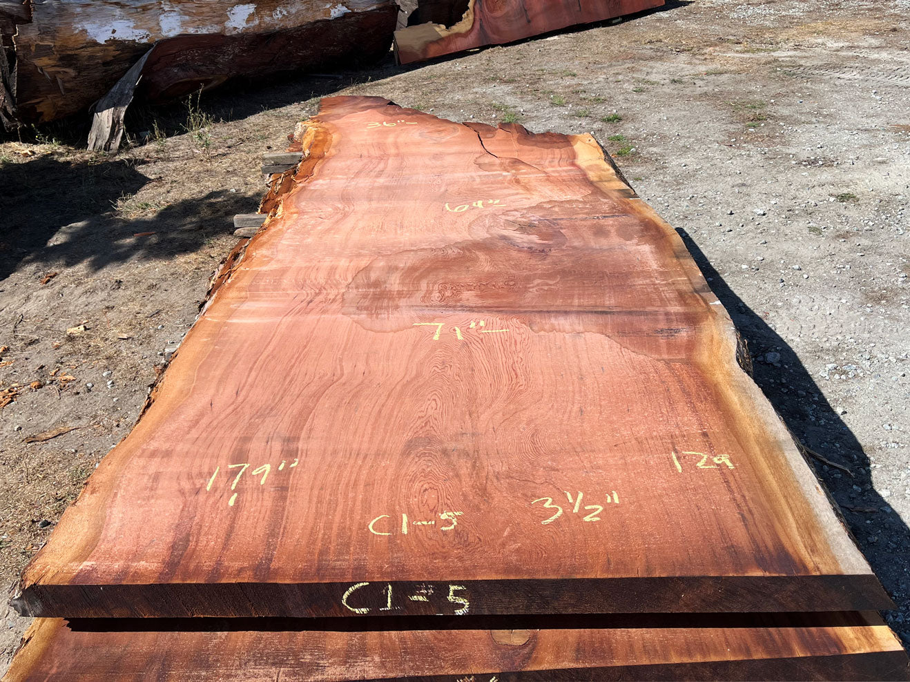 Giant Sequoia Live Edge Slab – 15.08' x 71" x 3.5" – Old Growth, Air-Dried – #C1-5