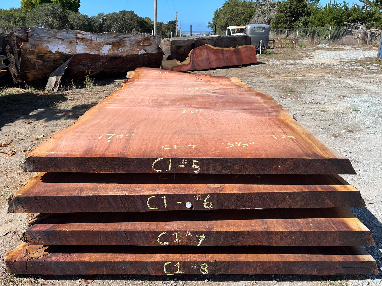 Giant Sequoia Live Edge Slab – 15.08' x 71" x 3.5" – Old Growth, Air-Dried – #C1-5