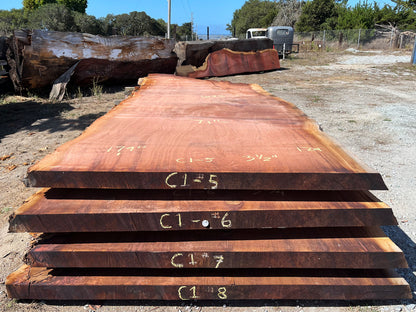 Giant Sequoia Live Edge Slab – 15.08' x 71" x 3.5" – Old Growth, Air-Dried – #C1-5