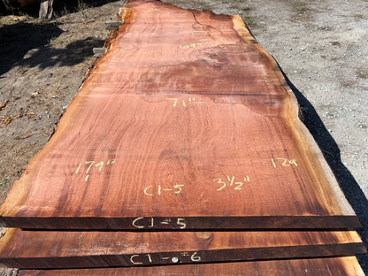 Giant Sequoia Live Edge Slab – 15.08' x 71" x 3.5" – Old Growth, Air-Dried – #C1-5