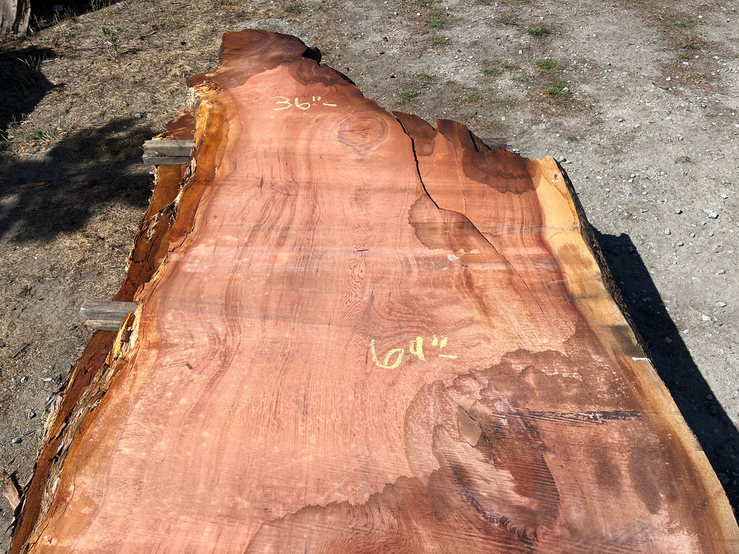 Giant Sequoia Live Edge Slab – 15.08' x 71" x 3.5" – Old Growth, Air-Dried – #C1-5