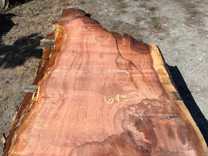 Giant Sequoia Live Edge Slab – 15.08' x 71" x 3.5" – Old Growth, Air-Dried – #C1-5