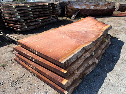 Giant Sequoia Live Edge Slab – 15.08' x 71" x 3.5" – Old Growth, Air-Dried – #C1-5