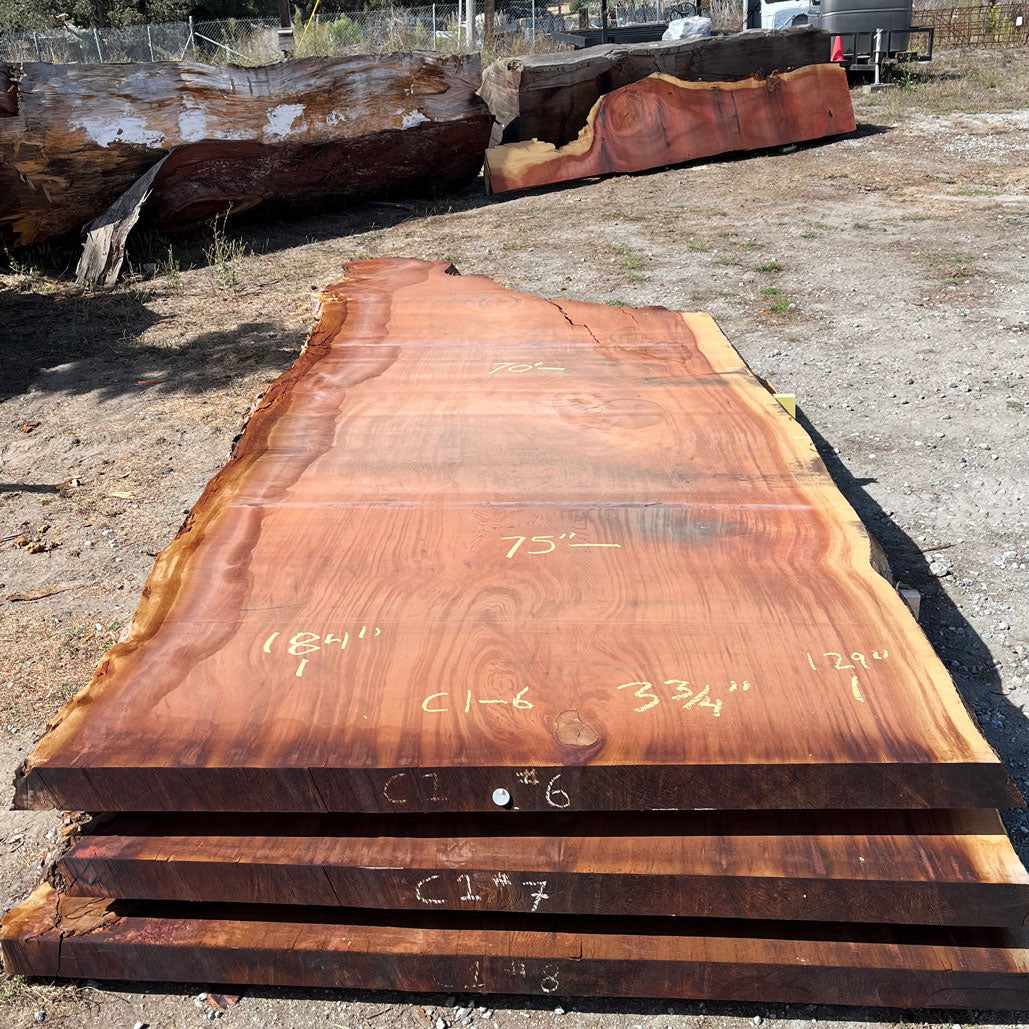 Giant Sequoia Live Edge Slab – 15.33' x 75" x 3.75" – Old Growth, Air-Dried – #C1-6