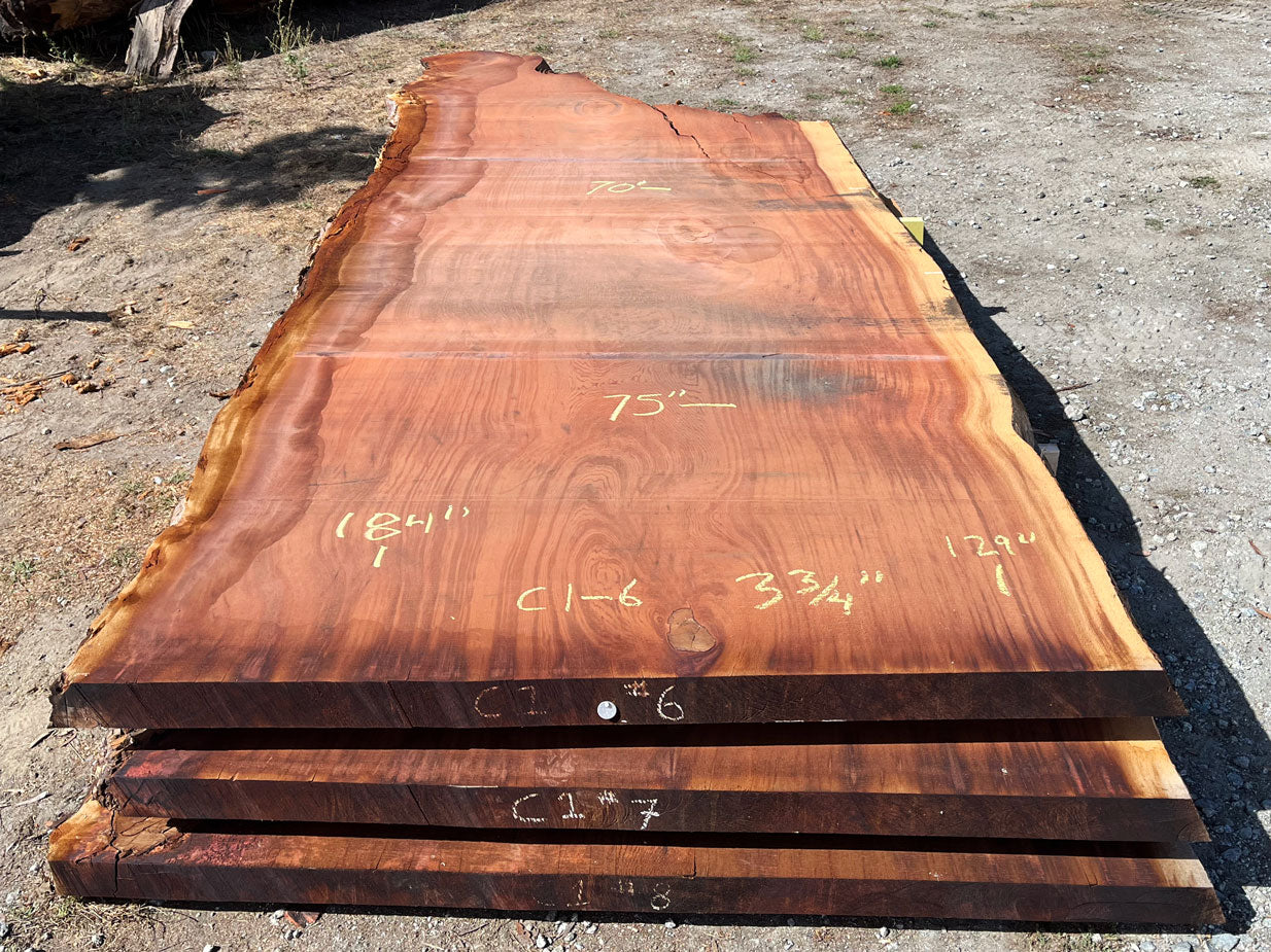 Giant Sequoia Live Edge Slab – 15.33' x 75" x 3.75" – Old Growth, Air-Dried – #C1-6