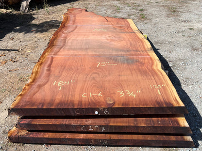 Giant Sequoia Live Edge Slab – 15.33' x 75" x 3.75" – Old Growth, Air-Dried – #C1-6
