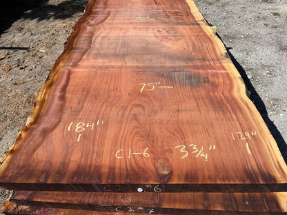 Giant Sequoia Live Edge Slab – 15.33' x 75" x 3.75" – Old Growth, Air-Dried – #C1-6