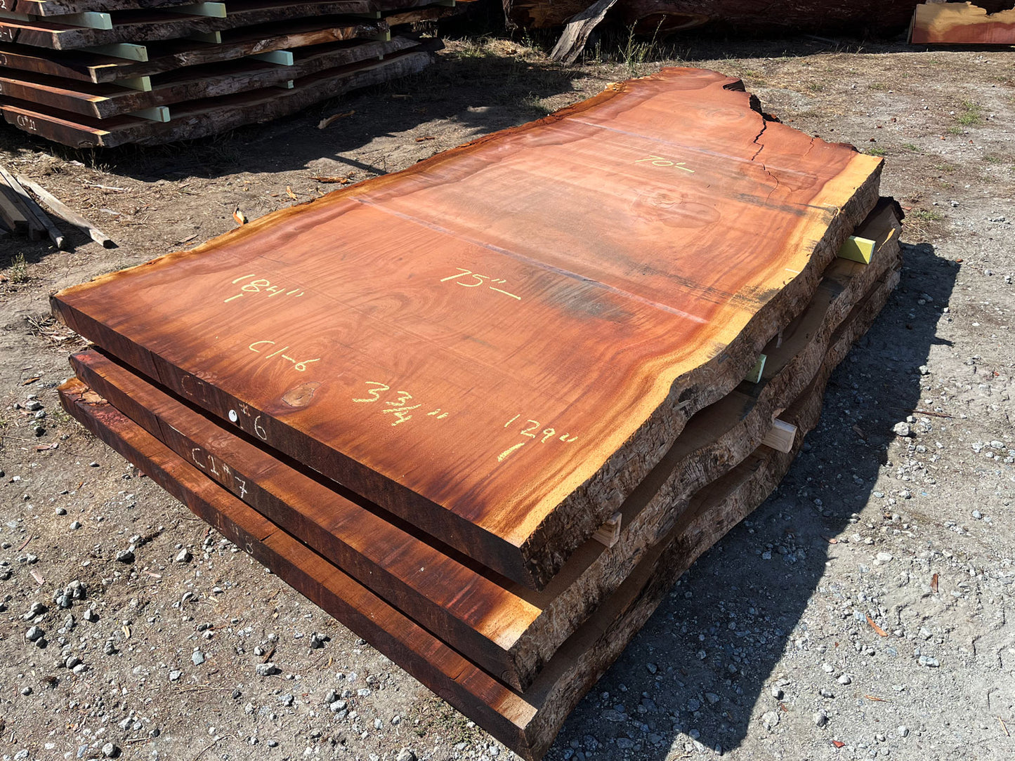 Giant Sequoia Live Edge Slab – 15.33' x 75" x 3.75" – Old Growth, Air-Dried – #C1-6