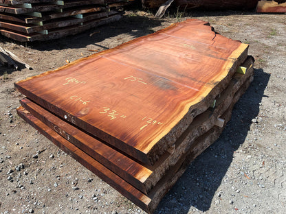 Giant Sequoia Live Edge Slab – 15.33' x 75" x 3.75" – Old Growth, Air-Dried – #C1-6