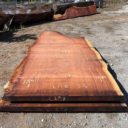 Giant Sequoia Live Edge Slab – 15.33' x 79" x 3.5" – Old Growth, Air-Dried – #C1-7
