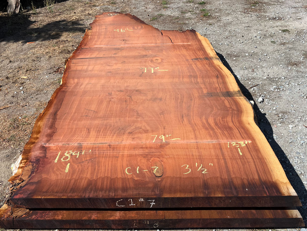 Giant Sequoia Live Edge Slab – 15.33' x 79" x 3.5" – Old Growth, Air-Dried – #C1-7