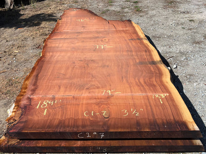 Giant Sequoia Live Edge Slab – 15.33' x 79" x 3.5" – Old Growth, Air-Dried – #C1-7