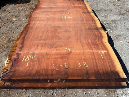 Giant Sequoia Live Edge Slab – 15.33' x 79" x 3.5" – Old Growth, Air-Dried – #C1-7